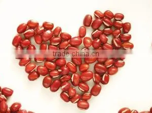 JSX All Size of Small Red Beans Superior Small Red Mung Beans thumbnail-2