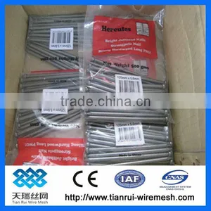 Low Price Polished/galvanized Common Nails(factory) thumbnail-1