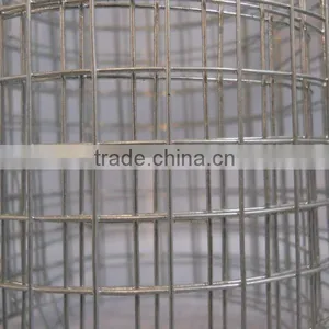 Galvanized Welded Wire Mesh thumbnail-1