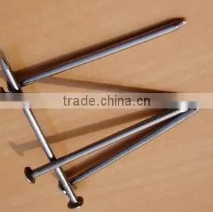 Manufacture Iron Common Nail/round Wire Nail thumbnail-3