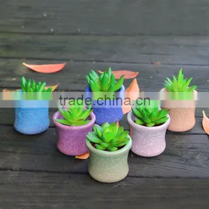 Whosale Various Colours Smail Decoration Ceramic Flower Pots With Hole for Succulent Plant thumbnail-3