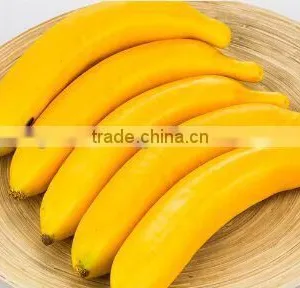 Wholesale Decorative Fruit/Fake Plastic Artificial Banana Fruit thumbnail-3
