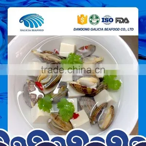 Fresh Frozen Short Necked Clam Shell-On thumbnail-1