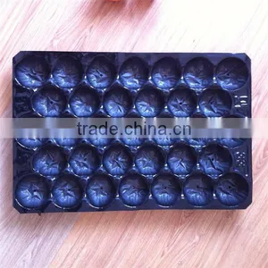 2016 Main Promotion Europe Market Popular Food Grade Polypropylene Fruit Nest Tray Made in China thumbnail-6
