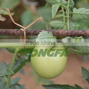 15cm Pre Cut Biodegradable Natural Twisted Paper Binding Rope for Agriculture thumbnail-5