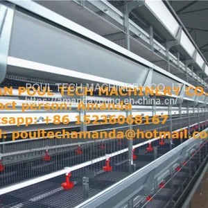 Kuwait Chicken Shed With Poultry Cage for Chicken Feed for Brooding Chicks in Poultry Farming With Chicks Cage thumbnail-1