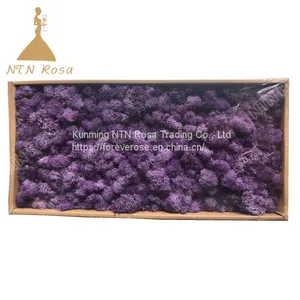 Creative Interior Decoration With Stabilized Lichen thumbnail-2