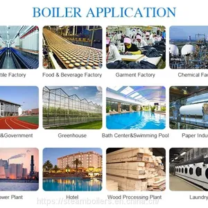 1500kg 1.5ton 100hp Wood Dust/Chips Biomass Pellet Fired Industrial Steam Boiler For Greenhouse thumbnail-5