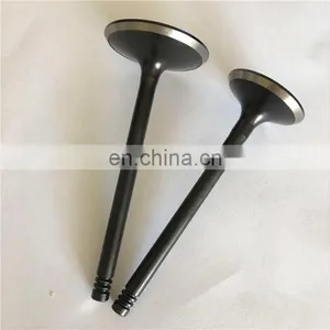Automark Spare Parts Inlet Exhaust Engine Valves for Dayun Motorcycle 200cc thumbnail-4