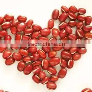 Red Bean thumbnail-1