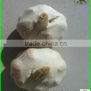 2015 Fresh Garlic/100% Natural Garlic thumbnail-2