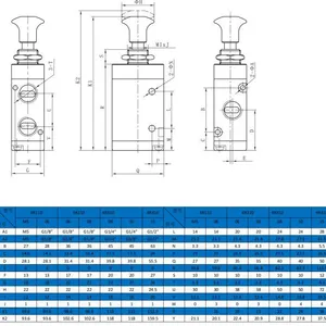 Manual Mechanical Valve