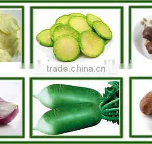 Automatic Fruit and Vegetable Chips Vacuum Frying Machine Quality Choice thumbnail-5