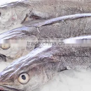 WR Frozen Hake thumbnail-2