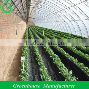 Steel Greenhouse for Agriculture thumbnail-1