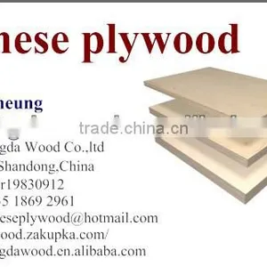 Top Quality Film Faced Plywood thumbnail-6