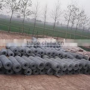 Hexagonal Wire Netting thumbnail-1