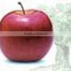 Fuji Apple(New Crop) thumbnail-1