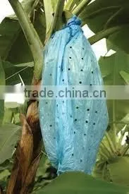 UV Stabilized Banana Tree Bags thumbnail-1