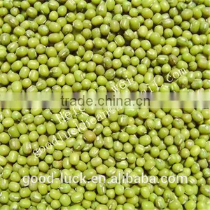 China Heilongjiang Green Mung Beans ( Food Grade) Quality Choice thumbnail-1