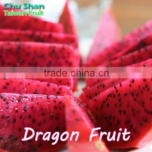 Fresh Dragon Fruit Exporter From Taiwan thumbnail-1