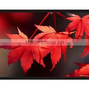 Wall Frame Projection Screen Projector Screen thumbnail-1