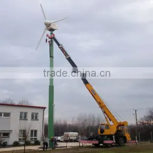 5kw Garden Windmill Metal Windmill Garden Decoration Wind Turbine System thumbnail-3