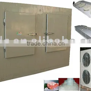 Insulated Refrigerated Ice Storage Room thumbnail-1