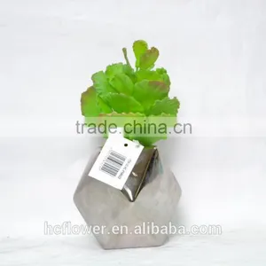 Real Touch Artificial Succulent for Home Decoration thumbnail-1