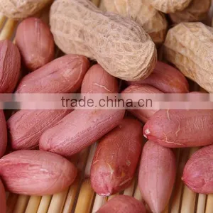 Dry Roasted Peanut Peeler Machine India Peanut Red Skin Peeling Machine For Roasted Peanut thumbnail-5