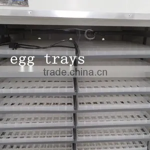 China Supplier 3520 Eggs Commercial Incubator for Nigeria thumbnail-6