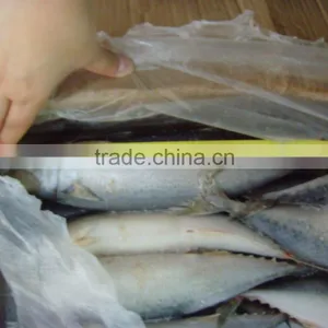 Seafood Frozen Mackerel Fish for Export thumbnail-1