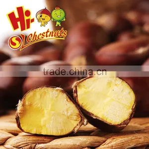 Hot Selling Big Size Chinese Chestnuts--Tai an Chestnuts thumbnail-4