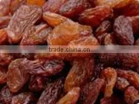 Dried Raisin thumbnail-1