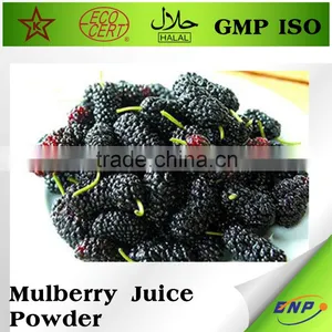 Mulberry Juice ISO Bulk Fruit Juice Powder thumbnail-1