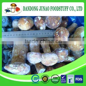 Purchase Frozen Wild Boletus Edulis Button Mushroom Price thumbnail-1