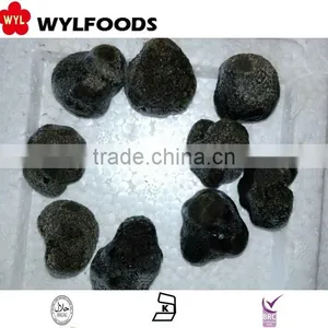 2016 Best Qualiety IQF Frozen Summer Truffle thumbnail-1