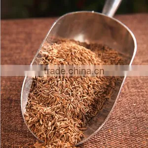 China Manufacturer Wholesale Fennel Powder Buying on thumbnail-5
