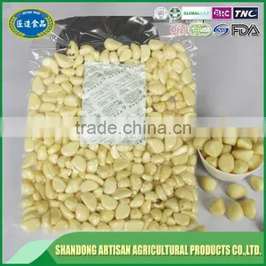 Fresh Peeled Garlic Bulk, Export to Europe thumbnail-2
