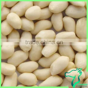 New Crop Blanched Peanut Kernels thumbnail-2