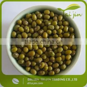 High Quality Green Mung Bean for Sprouting Use thumbnail-1