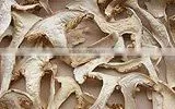 Grade A Dry Boletus Edulis Slice Dry Wild Mushroom thumbnail-1