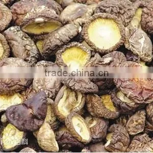 2015 Shiitake Mushroom/champignon/Mushrooms/Chinese Mushroom thumbnail-1