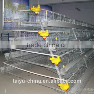 Poultry Farming Cages in Kenya thumbnail-1