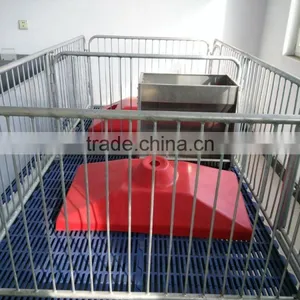 Pig Farm Use Pig Farrowing Crates,animal Cages thumbnail-1