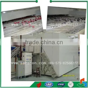 Food Freezing IQF Blast Freezing Vegetable Freezing Machine Frozen Cranberries thumbnail-6