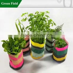 Green Field Colorful Canvas Flower Plant Container,Colorful Canvas Garden Plant Containers thumbnail-1