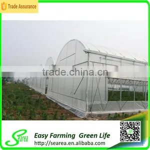 Quickly Delvery China Greenhouse for Commerical thumbnail-2