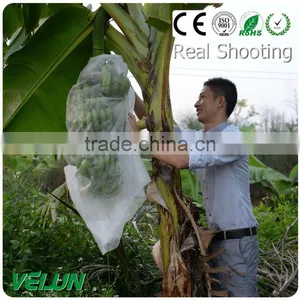 PP Nonwoven Fabric Fruit Bag thumbnail-2