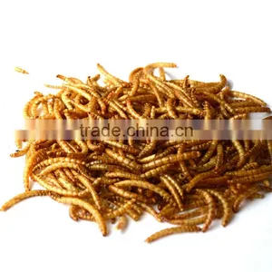 High Quality Pet Food Mealworms, Animal Feed Dry Mealworm thumbnail-1